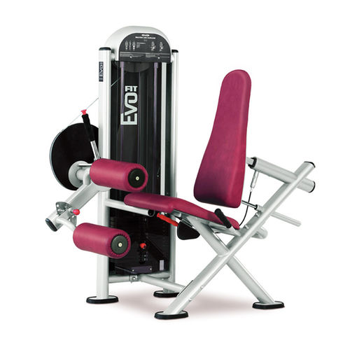 腿弯举健身器械 - FIT EVO 1FE083 - Panatta