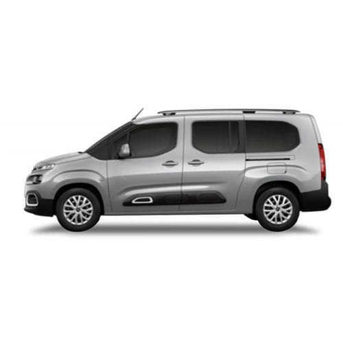 厢式无障碍车 - Citroën Berlingo  - Olmedo Special Vehicles - 后尾门