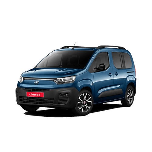 厢式无障碍车 - Fiat Doblò  - Olmedo Special Vehicles - 后尾门