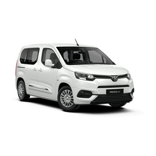厢式无障碍车 - Toyota Proace - Olmedo Special Vehicles - 后尾门