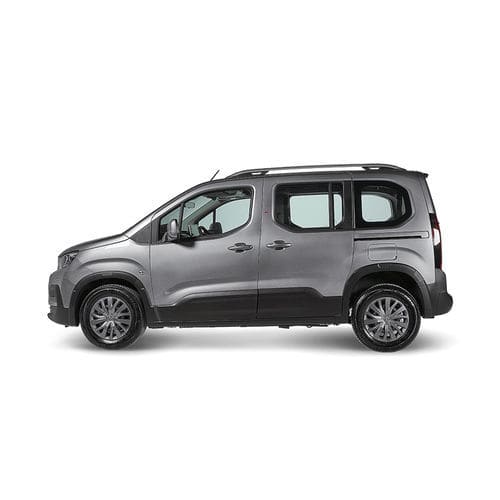 厢式无障碍车 - Peugeot Rifter Flexi Ramp - Olmedo Special Vehicles - 后尾门