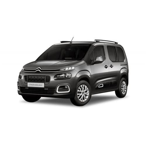 厢式无障碍车 - Citroën Berlingo Flexi Ramp - Olmedo Special Vehicles - 后尾门
