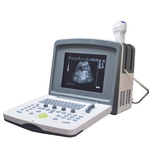 兽医超声波检查仪 / 便携式 - DP-6500 VET - Promed Technology - 多功能 / 黑白