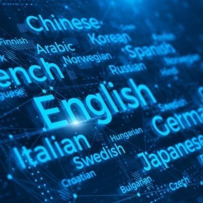 医疗管理软件 - SMARTLingual   - Simeks Medical Systems - 医用