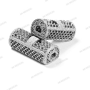 腰椎脊椎假体 - Beijing AKEC Medical