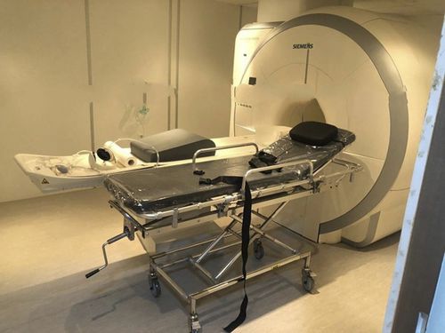 转运担架车 - HO-709 - Hongkong Medi - MRI / 手动 / 可调高度