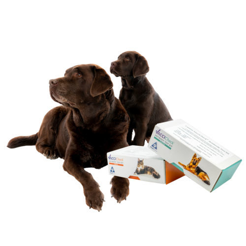 兽用快速诊断套装 - VacciCheck - Biogal – Galed Laboratories - 犬类 / 用于猫 / 抗体