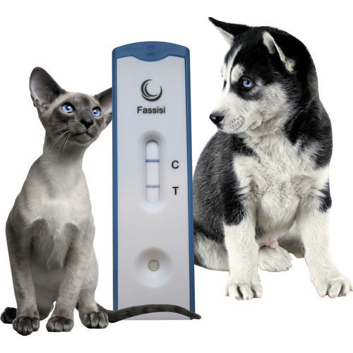 胃肠疾病快速诊断检测 - GiarDia - Fassisi, Gesellschaft für Veterinärdiagnostik und Umweltanalysen mbH - 卫生 / 用于猫 / 犬类