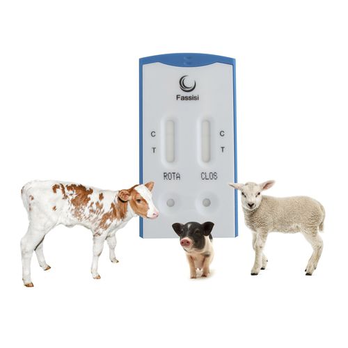 腹泻快速诊断检测 - PiDia light - Fassisi, Gesellschaft für Veterinärdiagnostik und Umweltanalysen mbH - 传染病 / 猪崽 / 山羊