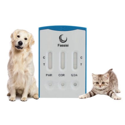 传染病快速诊断检测 - TRIPLE - Fassisi, Gesellschaft für Veterinärdiagnostik und Umweltanalysen mbH - 用于猫 / 犬类 / 用于病毒