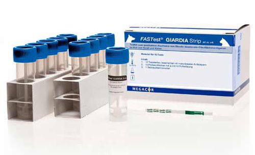 贾第虫病快速诊断检测 - FASTest® - MEGACOR Diagnostik - 抗原 / 粪便 / 免疫色谱法