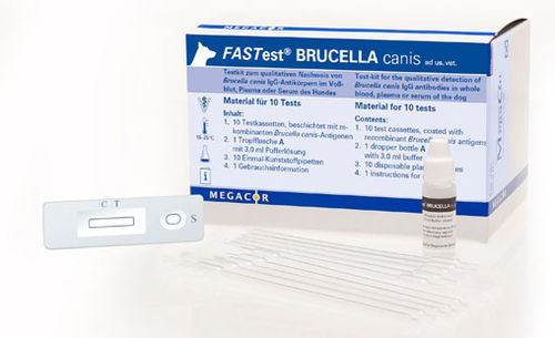 布鲁氏菌病快速诊断检测 - FASTest® BRUCELLA - MEGACOR Diagnostik - 犬类 / 抗体 / 布鲁氏菌