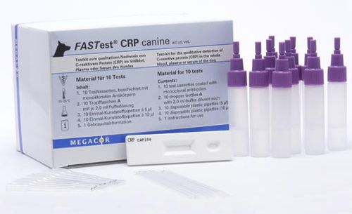 炎性疾病快速诊断检测 - FASTest® CRP - MEGACOR Diagnostik - 犬类 / CRP / 血清