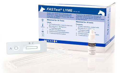莱姆病快速诊断检测 - FASTest® LYME - MEGACOR Diagnostik - 犬类 / 马用 / IgG免疫球蛋白G
