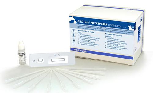 新孢子虫快速诊断检测 - FASTest® NEOSPORA - MEGACOR Diagnostik - 传染病 / 兽用 / 血清
