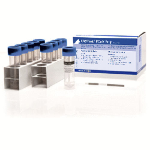 传染病快速诊断检测 - FASTest® FCoV - MEGACOR Diagnostik - 用于猫 / 冠状病毒 / 猫冠状病毒