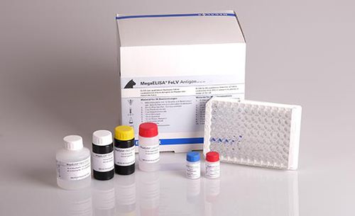 猫白血病快速诊断套装 - MegaELISA®  - MEGACOR Diagnostik - 动物 / 抗原 / FeLV
