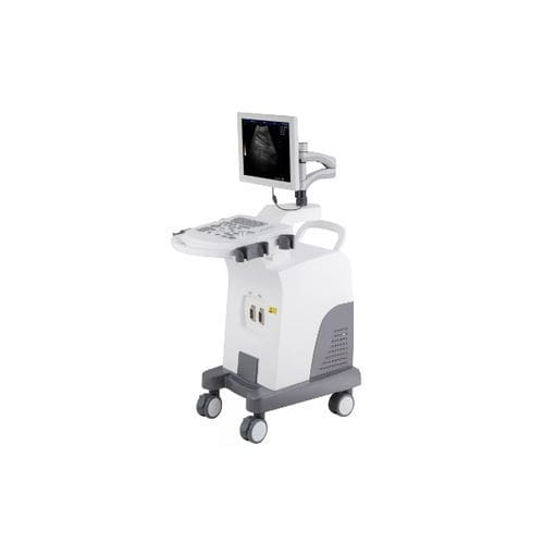超声工作站 - HF-350 - Shanghai Huifeng Medical Instrument - 用于多功能超声检查 / 黑白 / 15英寸