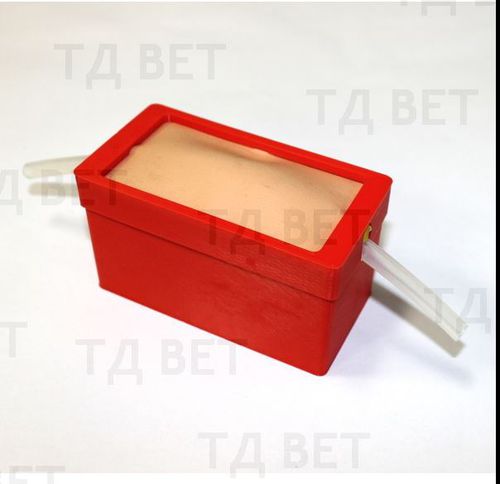 插管模拟器 - Vetbot-02 - Vetbot - 输液 / 兽用