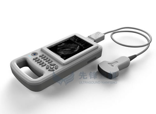 手持式B超机 - XF20 - Xianfeng Ultrasound Medical - 用于多功能超声检查 / 黑白