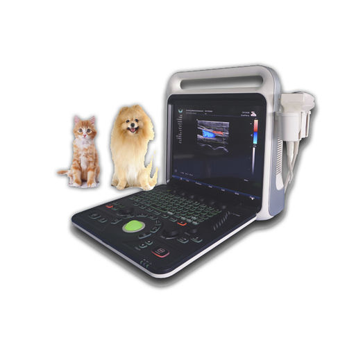 兽医超声波检查仪 / 便携式 - XF3800V - Xianfeng Ultrasound Medical - 多功能 / 犬用 / 用于猫