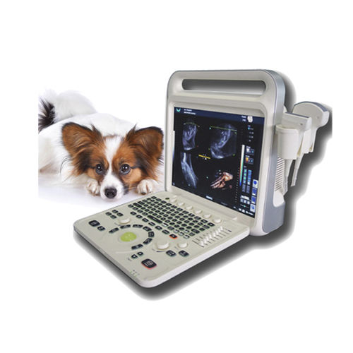 兽医超声波检查仪 / 便携式 - XF3600V - Xianfeng Ultrasound Medical - 多功能 / 犬用 / 用于犬类