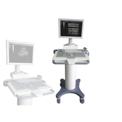超声工作站 - E110 - Xianfeng Ultrasound Medical - 用于多功能超声检查 / 黑白 / 15英寸
