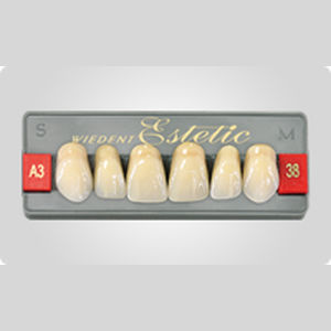 丙烯塑料假牙 - Wiedent Estetic Upper  - Wiedent - 后牙