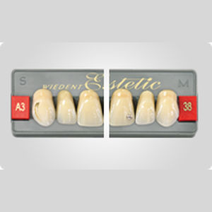 丙烯塑料假牙 - Encrusted WIEDENT Estetic,  ALMAMISS - Wiedent - 后牙