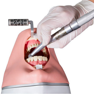 牙科手术模拟病人 - Inliant Dental Technologies Inc. - 口腔护理 / 头部