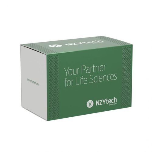 酶试剂套装 - Polaris® - NZYTech - 逆转录酶 / 核糖核酸酶抑制剂 / 诊断