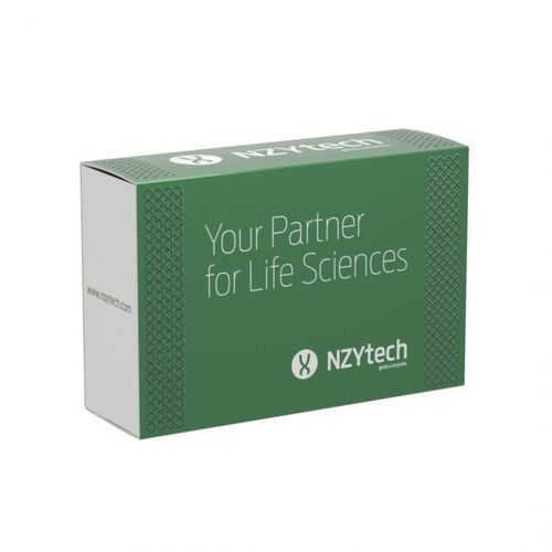 酶试剂套装 - Polaris®  - NZYTech - 逆转录酶 / 核糖核酸酶抑制剂 / 诊断