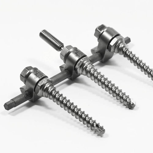 胸腰骶椎脊柱内固定系统 - S.E.S. - NEURO FRANCE Implants - 后入路