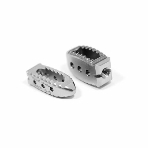 胸腰椎间融合器 - SHARK - NEURO FRANCE Implants - 后入路 / 钛