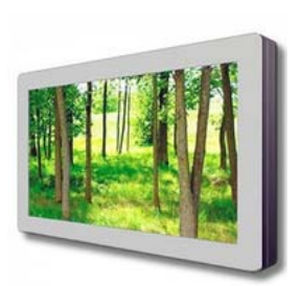 医用显示器 - CLS-H557MSV - Euro CLS - 55" / 液晶 / LED背光