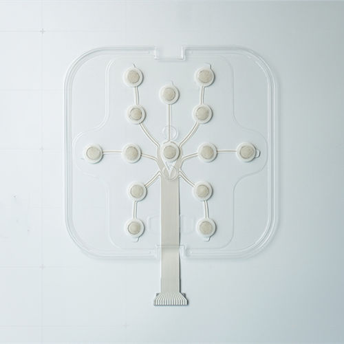 EEG电极 - NE - Wuhan Greentek - 医用 / 一次性