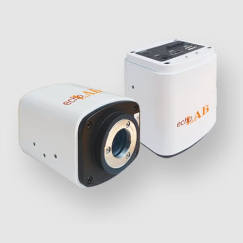显微镜摄像机 - echoCAM-T series - Echo R&D S.r.l. - 数字 / CMOS