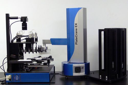 自动菌落挑取仪 - RapidPick Lite  - Hudson Robotics