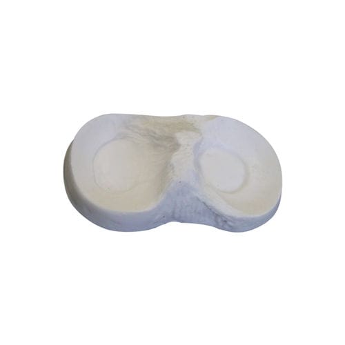 骨骼解剖模型 - 6000-05 - Nacional Ossos - 弯月形 / 用于骨科手术 / 教学