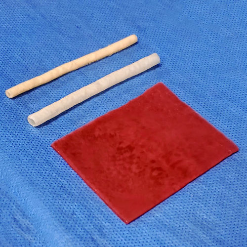膀胱解剖模型 - 10 series - LifeLike BioTissue Inc. - 输尿管 / 手术 / 手术