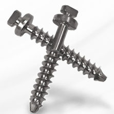 腰椎关节螺钉 - Capture™ - Spineology - 金属