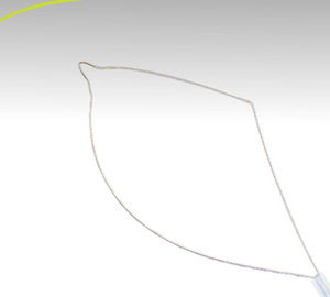 肠道息肉摘除取石网篮 - ezSnare™ Crescent - Endo-Therapeutics - 直线型