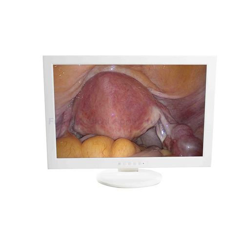 医用监视器 - FD-21 - Hunan Fude Technology - HD（高清） / VGA / 21"