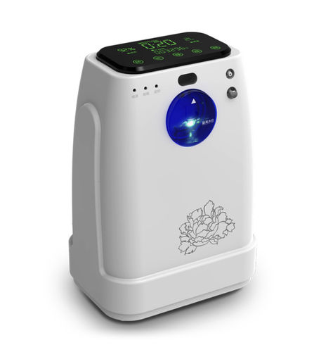 医用氧气浓缩器 - C-01 - Hunan Fude Technology - 居家护理 / 手提式
