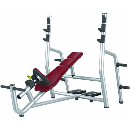 倾斜哑铃凳 - 470269-1 - Care Fitness - 带哑铃架