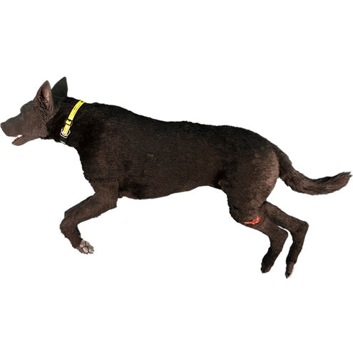 犬类模拟器 - TraumaFX Solutions, Inc. - 骨内注射 / 绷带包扎 / 教学