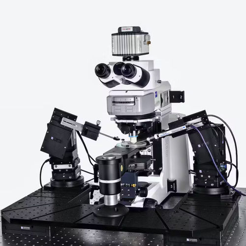膜片钳系统 - Patch Pro 6000 - Scientifica