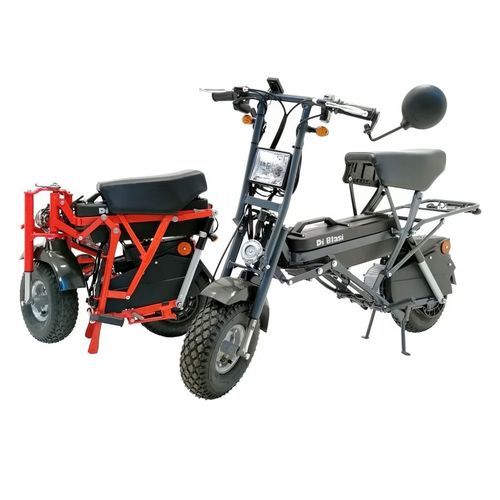 电动残疾人代步车 - R70 - Di Blasi - 2轮 / 可折叠