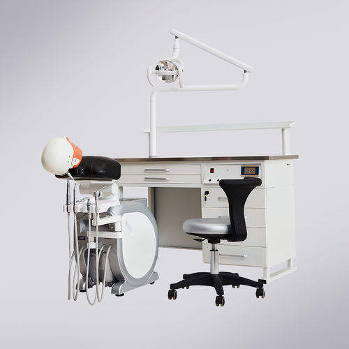 教学模拟病人 - T. MASTER - Foshan Cingol Medical Instrument Co.,Ltd - 口腔护理 / 头部