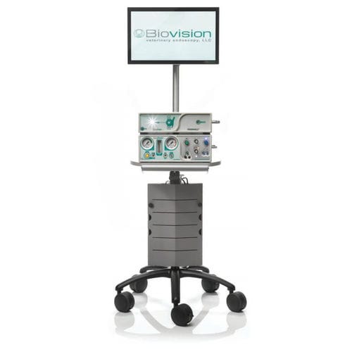 视频兽用腹腔镜 - EDSS - Biovision Veterinary Endoscopy